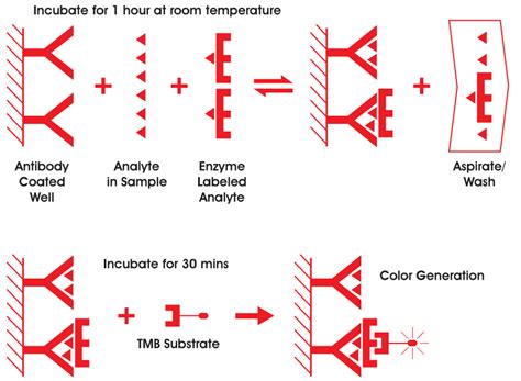 elisa test generation|elisa results wikipedia.